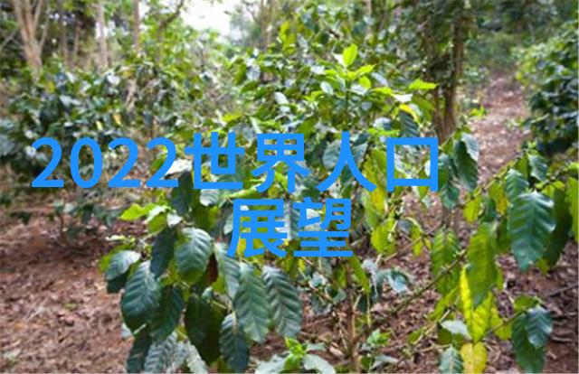 有哪些韩国明星代言的中国电视广告